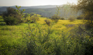 חם מהרגיל – אבל הגשם יחזור בקרוב: תחזית מזג האוויר