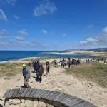 סופ"ש מושלם בפתח: תחזית מזג האוויר