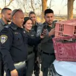 זאת החיה שמצאו כוחות הביטחון אצל חשוד באלימות מהפזורה הבדואית