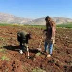עוד יש ציונות: הנוער שקם בבוקר מוקדם ומסיים את היום בסיפוק עצום