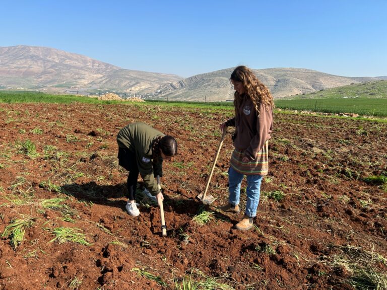 עוד יש ציונות: הנוער שקם בבוקר מוקדם ומסיים את היום בסיפוק עצום