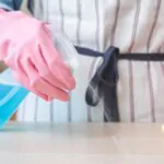 כך תנקו את הבית לפסח: כללי זהירות וטיפים מפתיעים לניקיון חכם