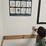 50 שנה אחרי: הכרזה האייקונית חוזרת – מה מסתתר מאחורי המהלך?