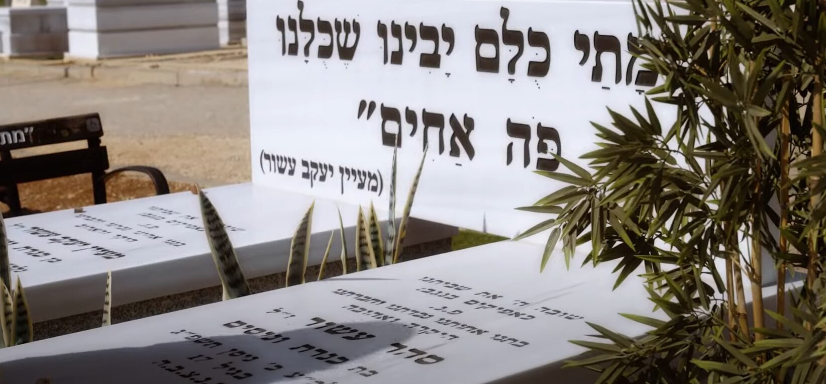 כוחות מאסון
