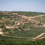 היסטוריה, טבע ושורשים: שבילי גוש עציון נפתחים למטיילים