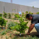 אחרי שנה וחצי של חיפוש ומילואים – החלטנו לעבור לכרם שלום