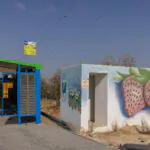 אזעקה הופעלה בכיסופים