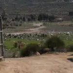 הערכה: זה מספר הדרוזים הישראלים שנמצאים בסוריה