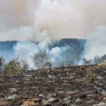 הושגה שליטה על האש: איסור כניסה ליערות קק״ל באזור ירושלים-בית שמש