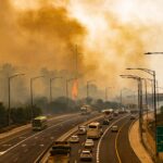 השייח' השיעי קורא למדינות ערב לסייע לישראל בכיבוי השריפות