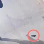צפו: מרדף דרמטי בצפון – החשוד נמלט והשליך אקדח