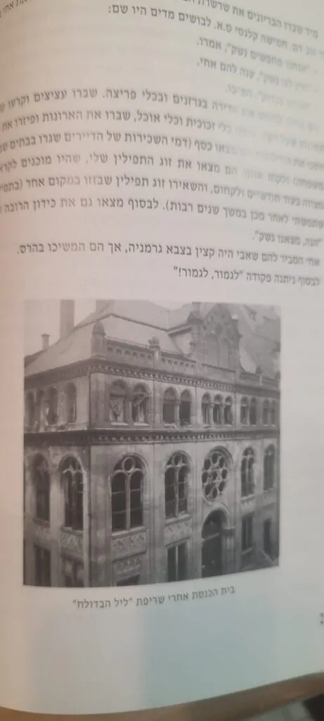 מאיר שורץ