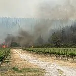 שריפות במחוז ירושלים: בנוסף לנווה שלום החל פינוי גם של לטרון