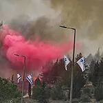 אם מדובר בטרור: ההודעה של חברות הביטוח בעקבות השריפה