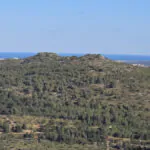 מהלך אסטרטגי: חיות הבר זוכות למסדרון טבעי בין הרי הגליל