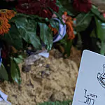 לא נשכח: סיפורו של צבי פלדמן וקרב סולטאן יעקוב