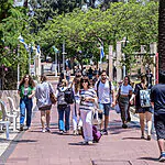 סמסטר או סימסטר? האקדמיה ללשון עושה סדר בשפה של הסטודנטים