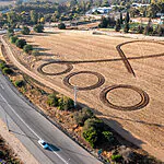 חמאס השיב למתווה החדש – וויטקוף תקף: "לא מקובל עלינו"