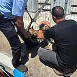 רגע לפני הרכבת: הכלב חולץ במבצע מהיר ומדויק