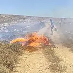 קו ראשון מול האש: "נערים עם ציוד מצילים יערות ויישובים"