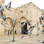 הסיפור שלא סופר ביום ירושלים – והוא קורה עכשיו
