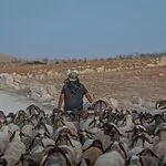 מפגש מלכותי: הנסיכים שהחליטו לתמוך בהתיישבות