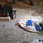 בזכות תושיית השוטרים: עשרות ילדים ניצלו מאסון | תיעוד