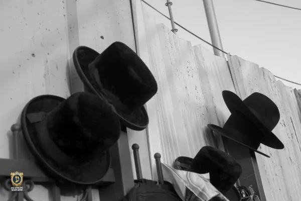 קרדיט: CANVA