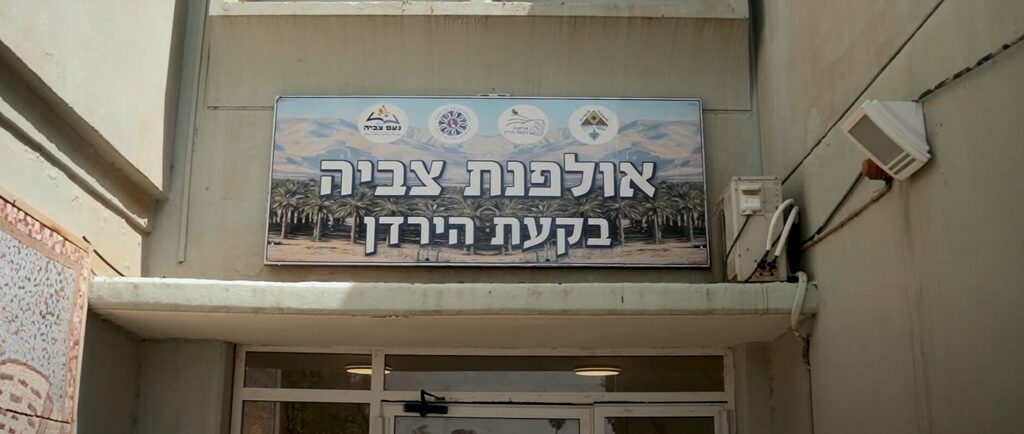 שירים חדשים