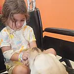 הכלבה שנכנסה ללב: הריפוי הנפשי של מנור בת ה־4