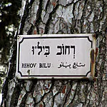 עליית ביל"ו חוגגת 143 שנים, אבל האם היתה הראשונה?