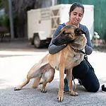 לאחר חודשים ארוכים בכלבייה: נויה וקלי מצאו בית