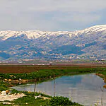 הלבנונים חוששים: הסכנה שמתקרבת למדינה – האם ישראל תסייע?