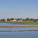 תחזית לשבת: הכבדה בעומסי החום – אבל לא לזמן רב