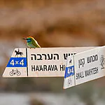 חום שובר שיאים בבקעה ובים המלח – מסלולי טיול נסגרים