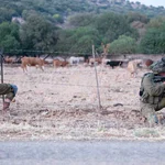 20 תרגילים שנפרסו על שבוע שלם: הבוחן המיוחד שחיכה ללוחמים