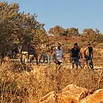 הוכחה מצולמת: המחבל תועד אוחז באבן