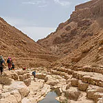 כמו "ניתוח פתוח" לטבע: שיקום ענק לנחל שנפגע מהזיהום