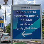 מאה שנים אחרי שנולדה: סבתא שרה הנפיקה תעודת זהות בעצמה