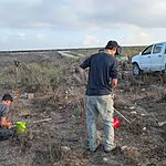 "לא עוזבים את החקלאים": מתנדבי השומר החדש שיקמו את הגדר שנהרסה