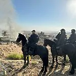 סמוך לשגב שלום בנגב: כוחות המשטרה פועלים לאכוף בנייה בלתי חוקית