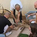 אלו הערים שבהם הכי הרבה מתנדבים