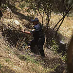 לאחר 6 ימים של חיפוש: דוד אותר בריא ושלם בתוך סבך עצים