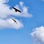 השמיים יתבהרו אבל הקור עדיין כאן: תחזית מזג האוויר