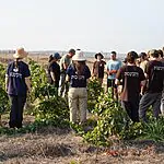 מאות צעירים מכל הארץ עלו צפונה לשקם, לנטוע ולהתנדב