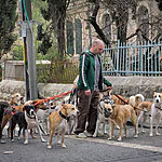 צו פתוח? הזכויות שאתם יכולים לממש ושוות לכם הרבה כסף