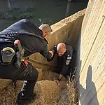 אחרי שבוע של חיפושים: אותרה בחיים הפרופסור נורית יערי