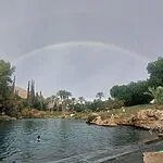 החורף הגיע: שלג בחרמון, הצפות באשקלון והג'ירפות מתחממות בספארי