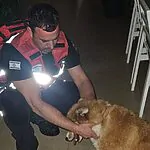 רגע של אנושיות: הכבאי חילץ כלב שנקבע בחרך מתחת לבית