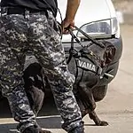 עבור חיזבאללה: משאית עמוסה בטילים וכטב"מים נתפסה באירופה